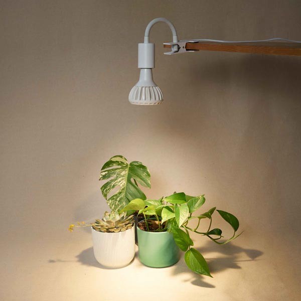 Grow Gang Stelo Gooseneck Clip-On Bulb Holder White