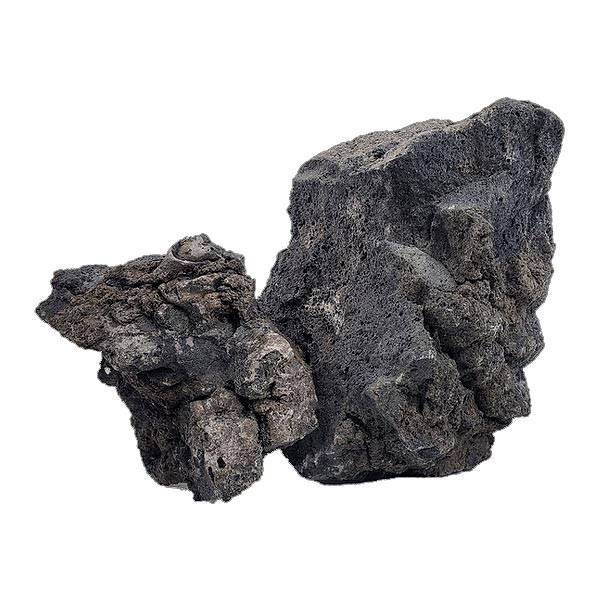 Wio Darwin Black Lava Stone Standard Box 10kg