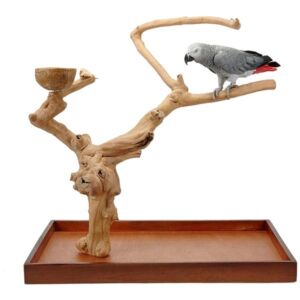 Java Mini Large Tabletop Tree Natural Hardwood Parrot Stand