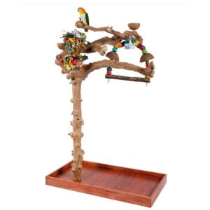 Java 2 Duo Tree Medium Natural Hardwood Parrot Playstand