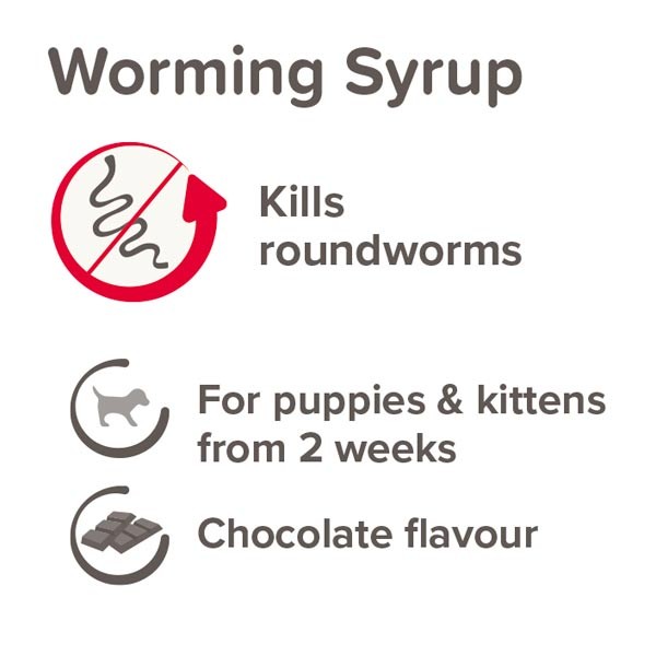 Beaphar Worming Syrup for Puppies & Kittens 45ml