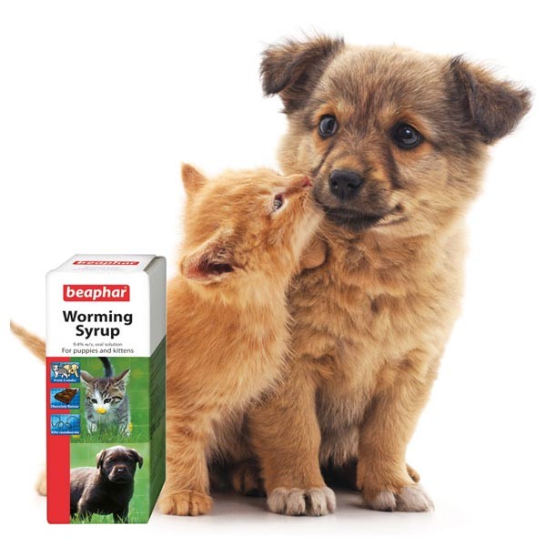 Beaphar Worming Syrup for Puppies & Kittens 45ml